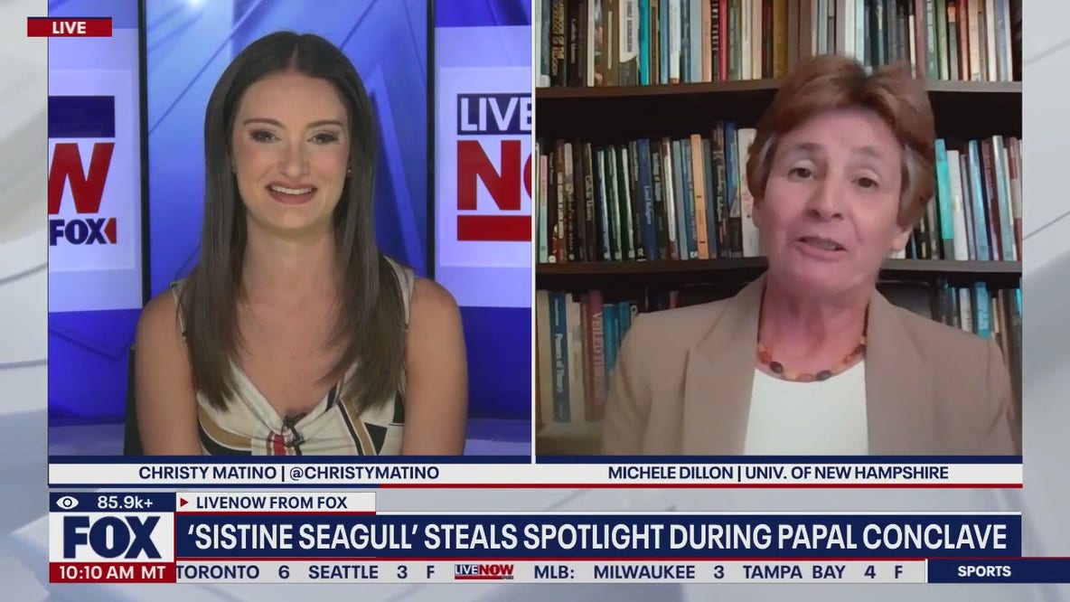 'Sistine Seagull' steals spotlight during papal conclave